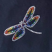 Load image into Gallery viewer, Dragonfly After Dark Crystal